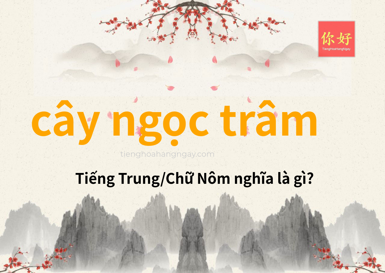 cây ngọc trâm tiếng Trung là gì?